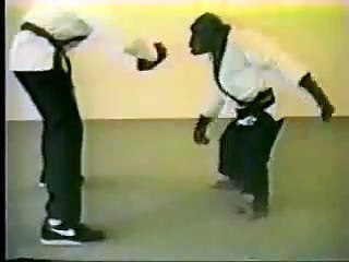 maymun karete yaparsa