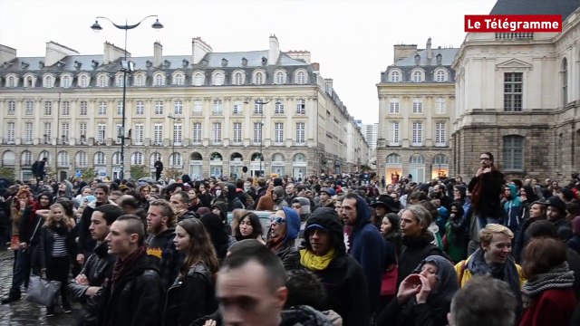 Rennes. Mort de Rémi Fraisse : face-à-face place de Bretagne