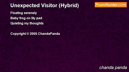 chanda panda - Unexpected Visitor (Hybrid)