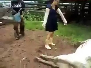 Funny Accident