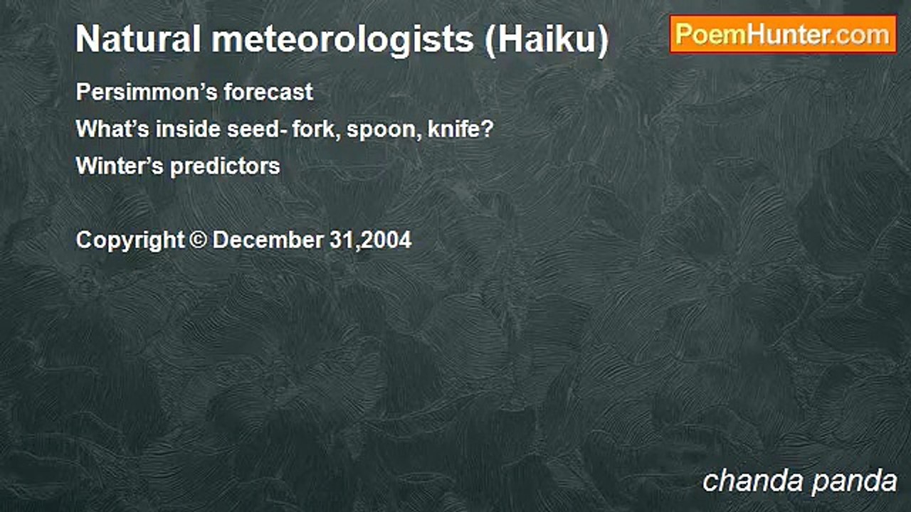 chanda panda - Natural meteorologists (Haiku)