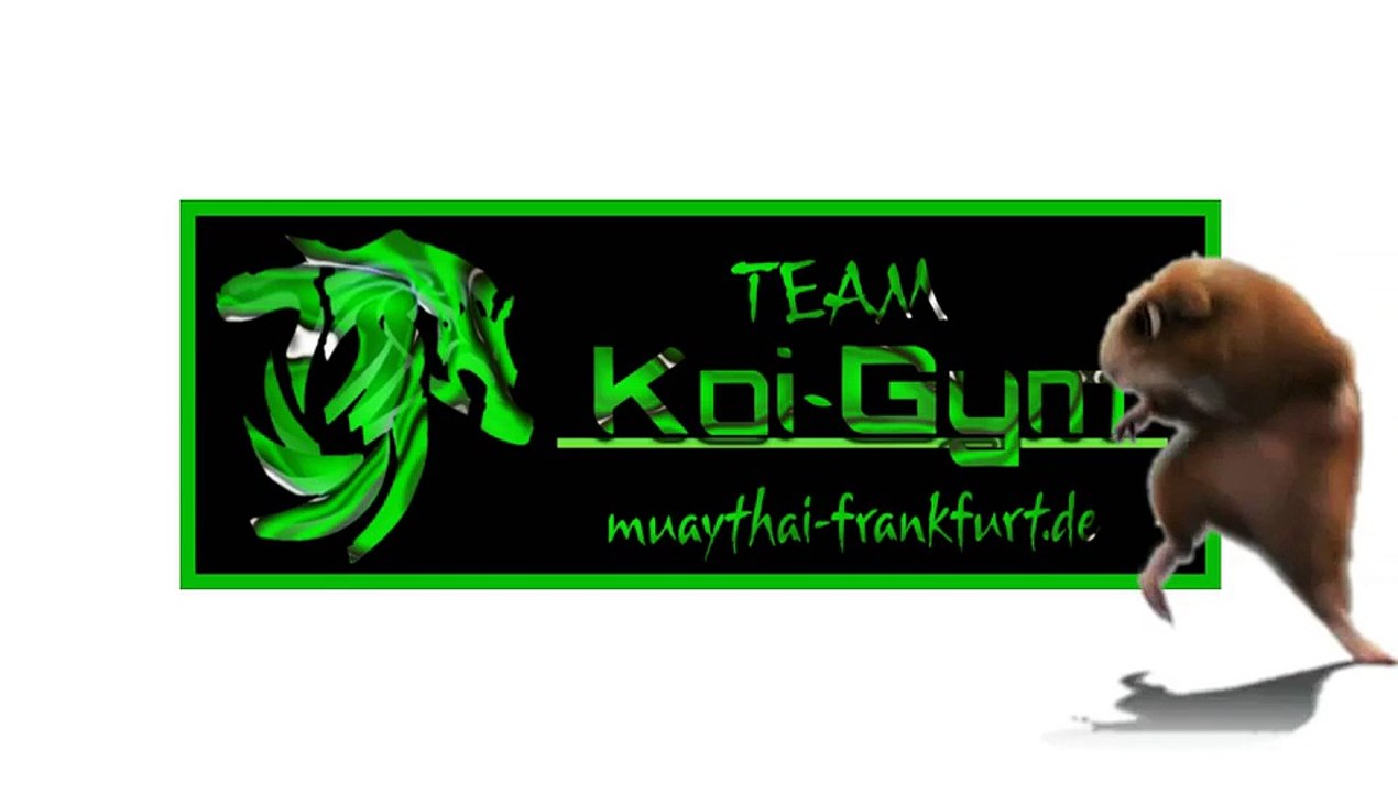koi-gym www.muaythai-frankfurt.de thaiboxen frankfurt