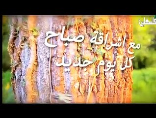 فلسطين هذا الصباح  8-11-2014 ج1