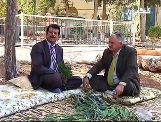 ساق الله على ايام زمان - قرية الجلمه