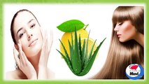 Mascarilla casera de aloe vera (sabila) y limon para la piel y el cabello