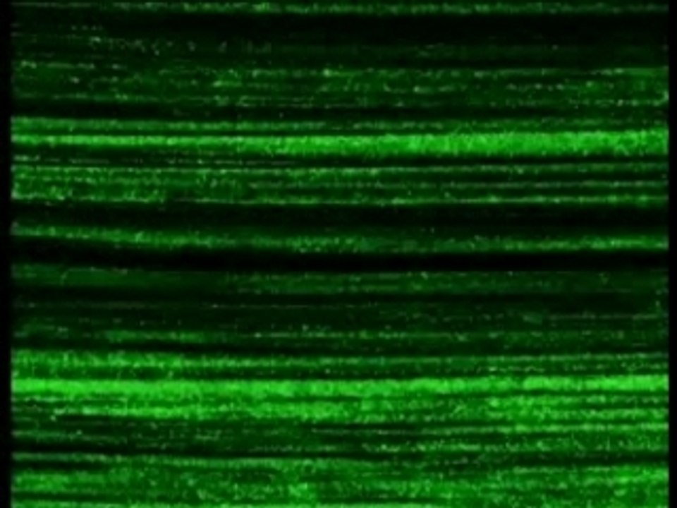 Bérurier Noir - Il tua son petit frere