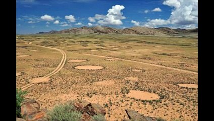 Les mystérieux cercles de fées de Namibie sont « vivants »
