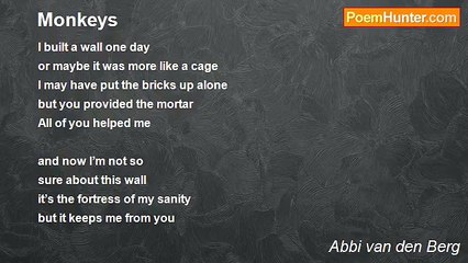 Abbi van den Berg - Monkeys