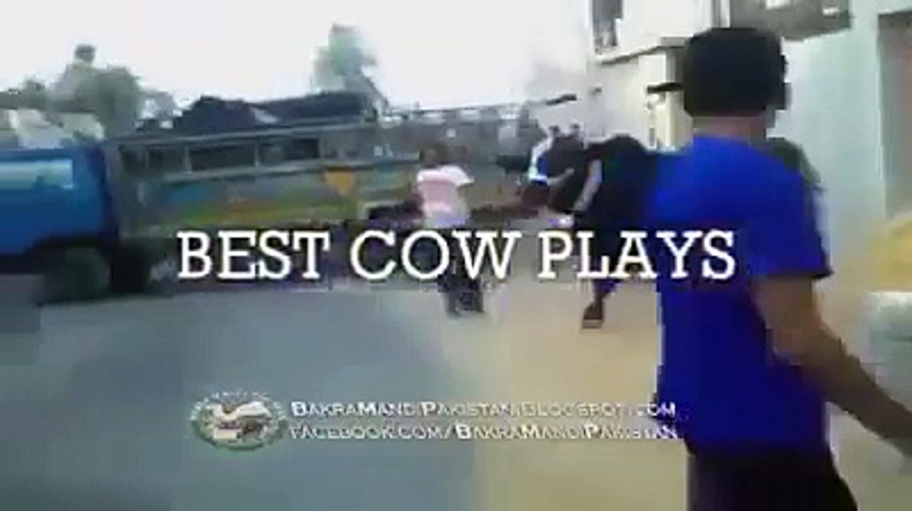 Mad Cows killing people