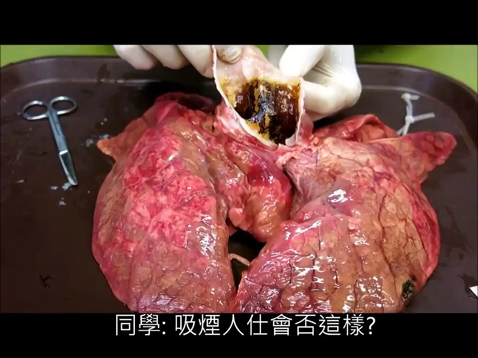 Dedicated to All Smokers - Smoking Effect