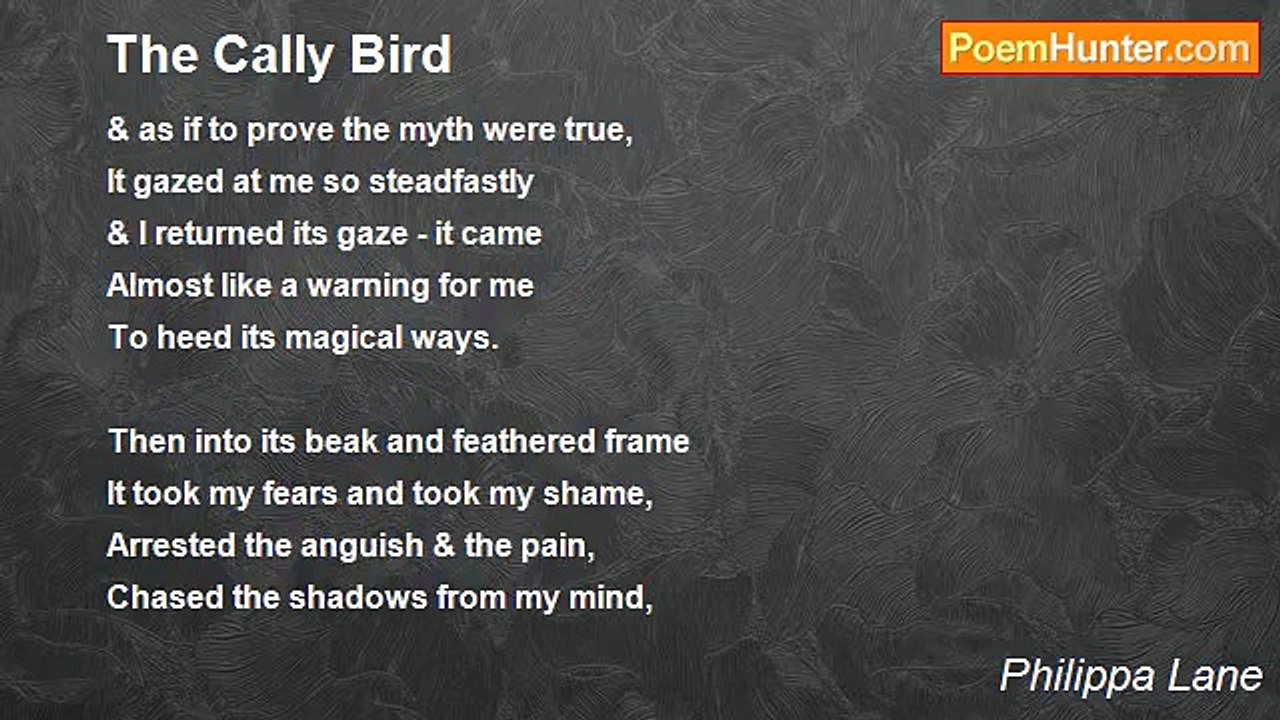 Philippa Lane - The Cally Bird