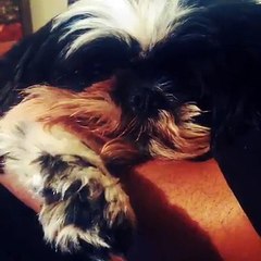 Tiffany Ghent - http://itsmyurls.com/tiffanyghent