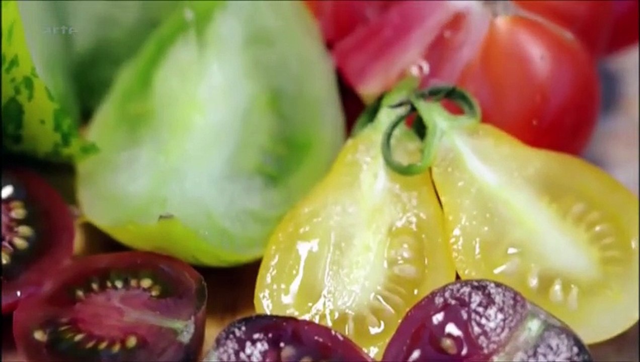 Lodève Semences agricoles bio