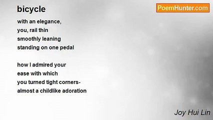 Joy Hui Lin - bicycle