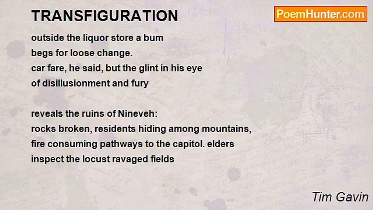 Tim Gavin - TRANSFIGURATION