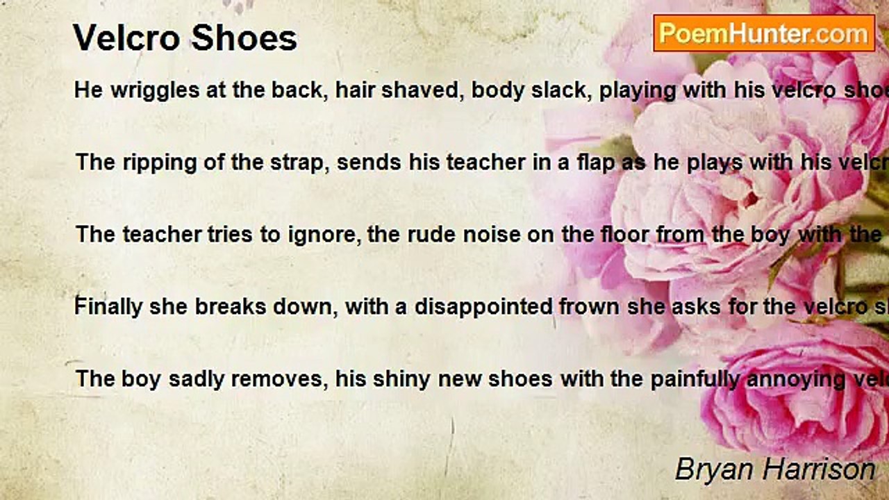 Bryan Harrison - Velcro Shoes