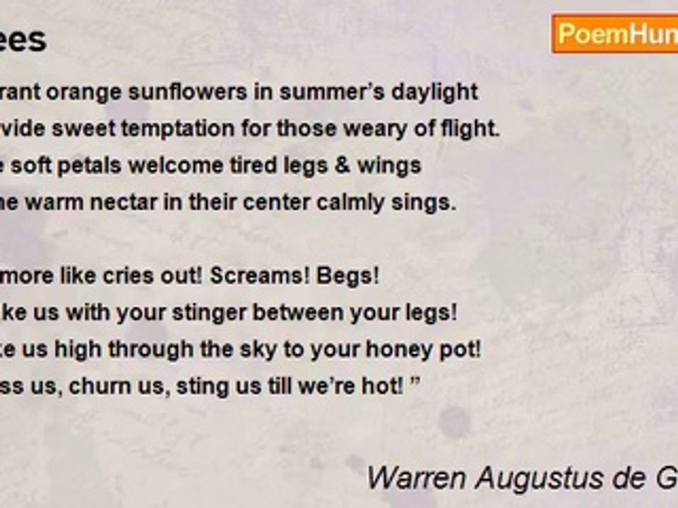 Warren Augustus de Guzman - Bees