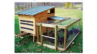 Building A Chicken Coop - Your Guide to Build Easy Chicken Coop