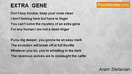 Aram Stefanian - EXTRA  GENE