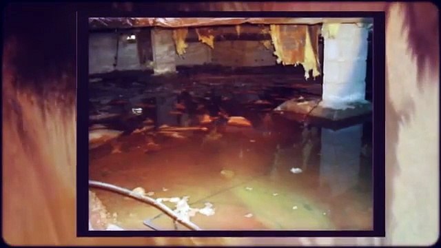 Home Inspectors in Nashville Reveal Home Inspection Horrors