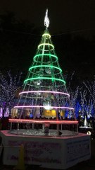 2014.11.8 さいたま新都心けやきひろば　イルミネーション点灯式