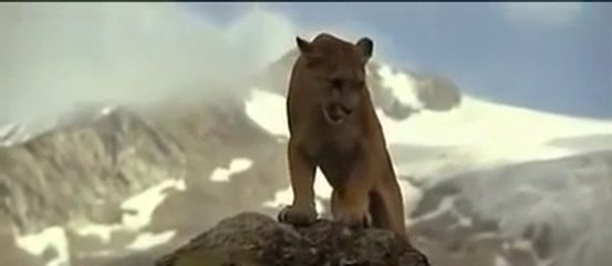 Never give up , believe in yourself