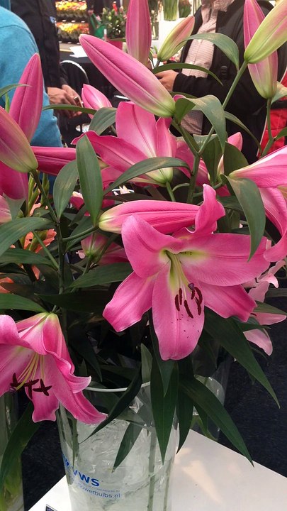 Ümraniye Çiçek Siparişi çok hızlı ve de ucuz.!