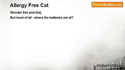 Hubert Wilson - Allergy Free Cat