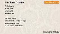 Nkululeko Mdudu - The First Glance