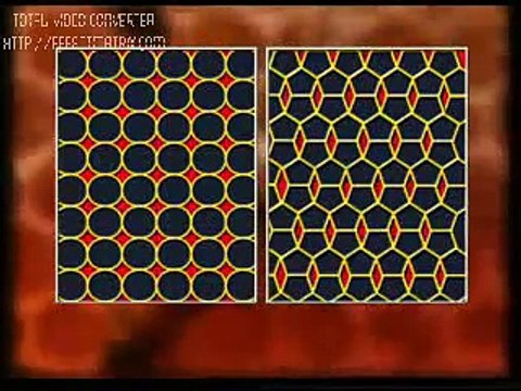 Arı Ve Arıcılık Hizmetleri'nin Videoları ARILARIN SIRRI