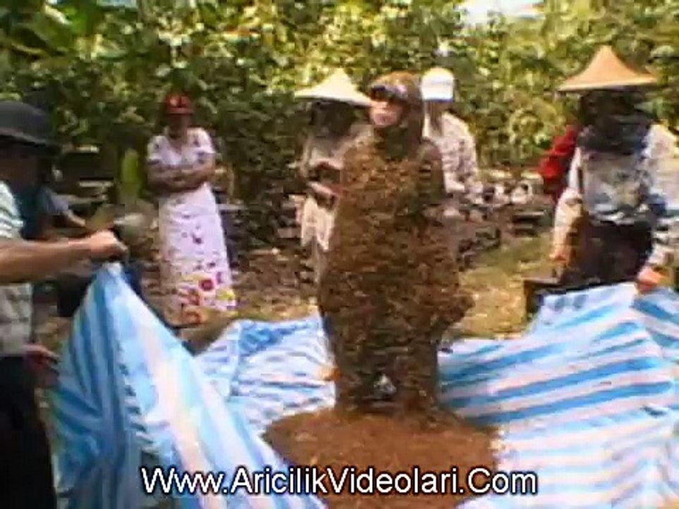 arı zehiri ile tedavi