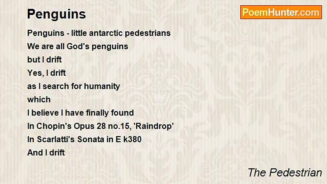 The Pedestrian - Penguins