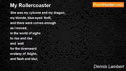 Dennis Lambert - My Rollercoaster