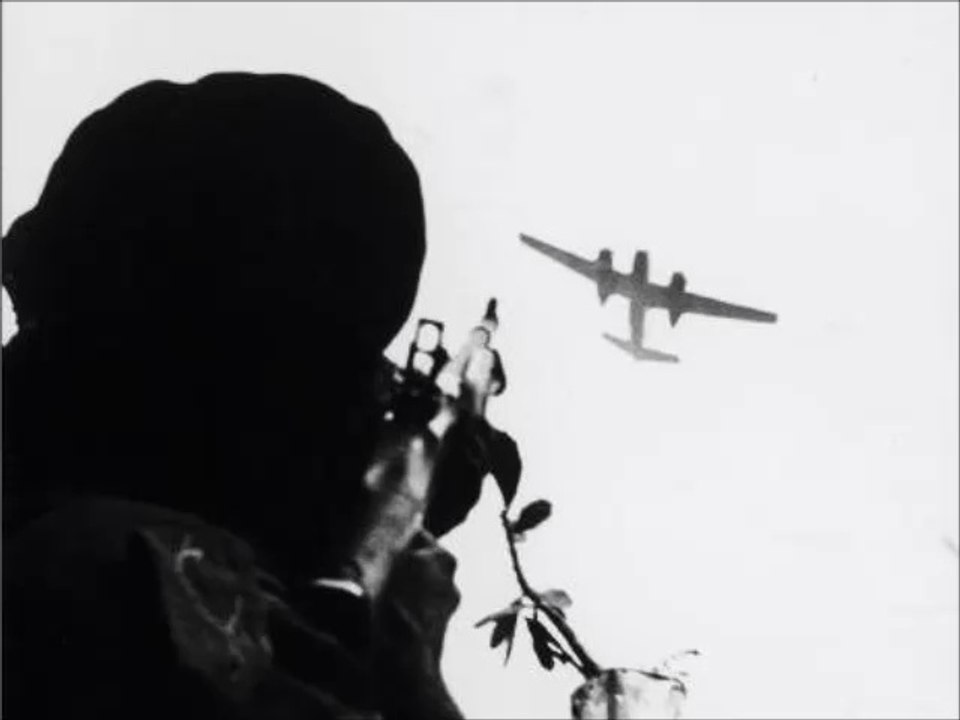 Shalt Frequentz - Plane