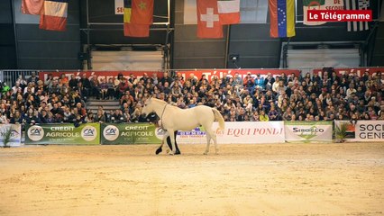 Pontivy. Les chevaux font le show à Equipondi