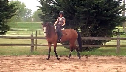 qualitée 7 ans Carlos - épaule en dedans