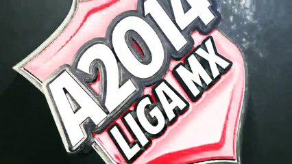 Andrés Fassi amenazó al árbitro Fernando Guerrero