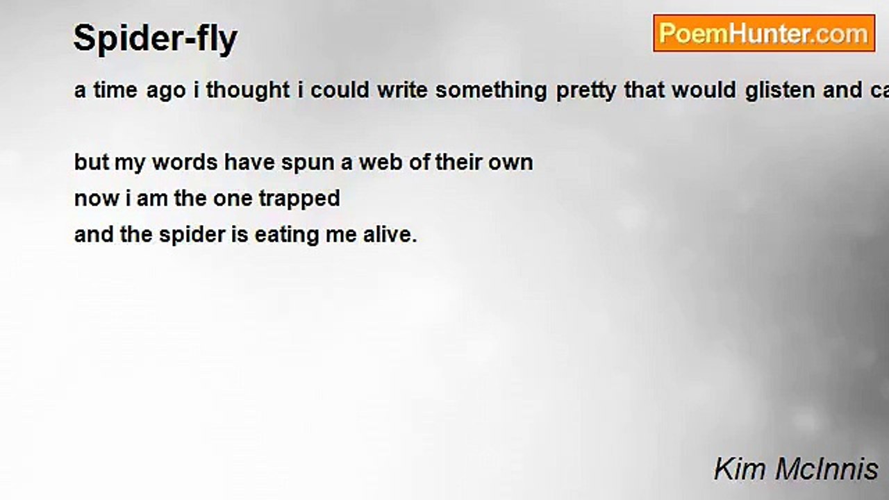 Kim McInnis - Spider-fly