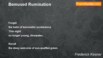 Frederick Kesner - Bemused Rumination