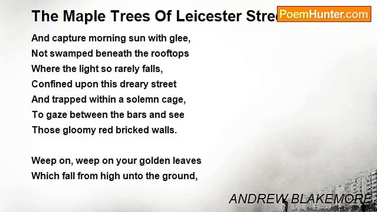 ANDREW BLAKEMORE - The Maple Trees Of Leicester Street