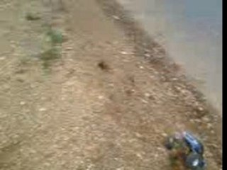 Petite video de Darkside