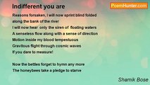 Shamik Bose - Indifferent you are