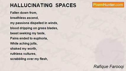 Rafique Farooqi - HALLUCINATING  SPACES