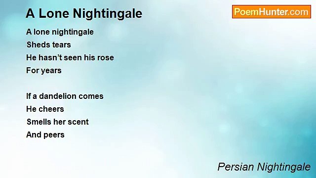 Persian Nightingale - A Lone Nightingale