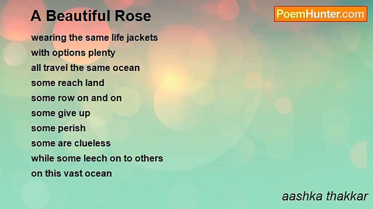 aashka thakkar - A Beautiful Rose