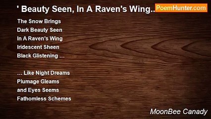 MoonBee Canady - ' Beauty Seen, In A Raven's Wing... '
