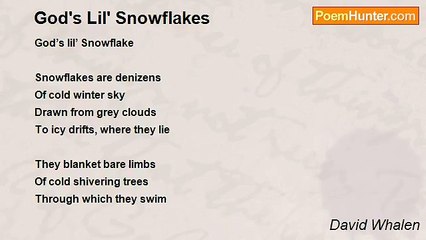 David Whalen - God's Lil' Snowflakes
