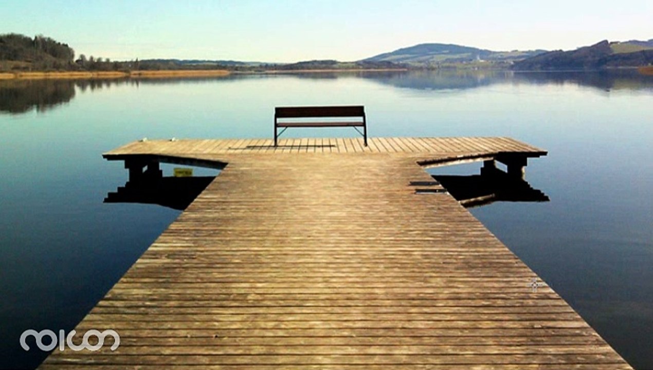 nv111 Life, Universe, Everything (1)