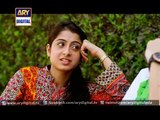 Soteli - Last Episode - 8th November 2014