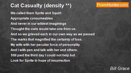Bill Grace - Cat Casualty (density **)